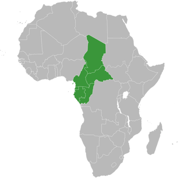 Africa-countries-CEMAC.svg